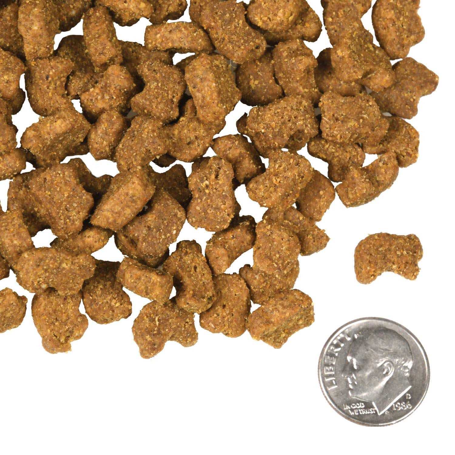 Fromm Four Star Lamb & Lentil Dog Food - Nail Gallerys