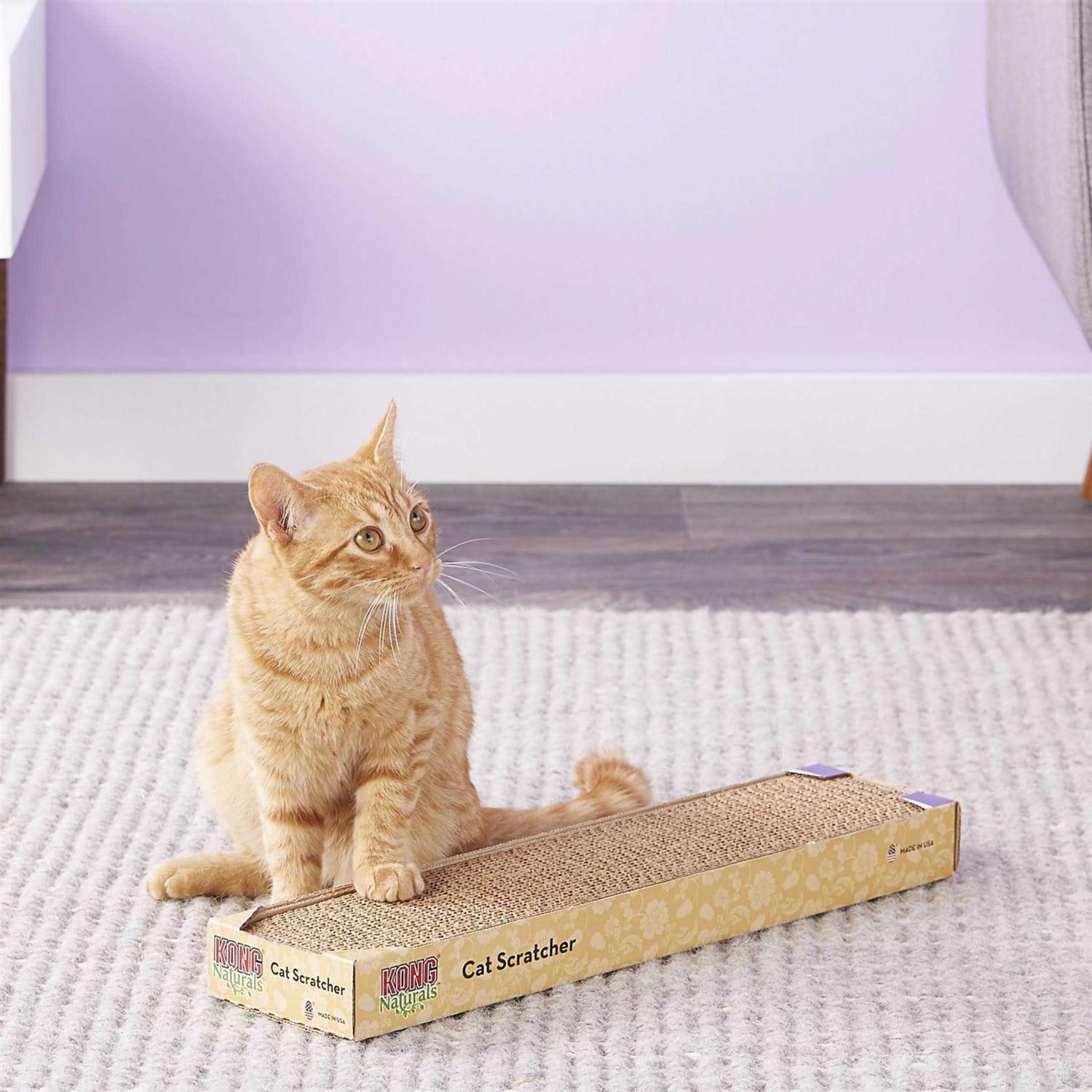 KONG Scratcher Refill for Incline-Double Scratcher - Nail Gallerys