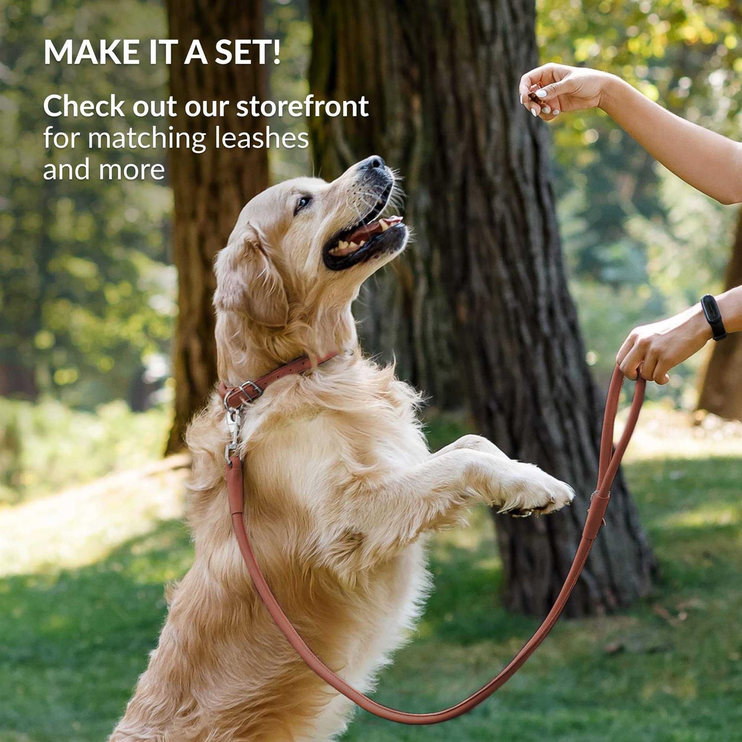 CollarDirect Rolled Leather Dog Collar Soft Padded Round Puppy Collar - Nail Gallerys