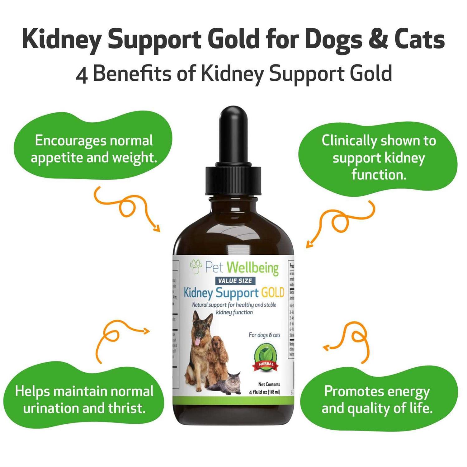 Pet Wellbeing Kidney Support Gold for Dogs - Nail Gallerys