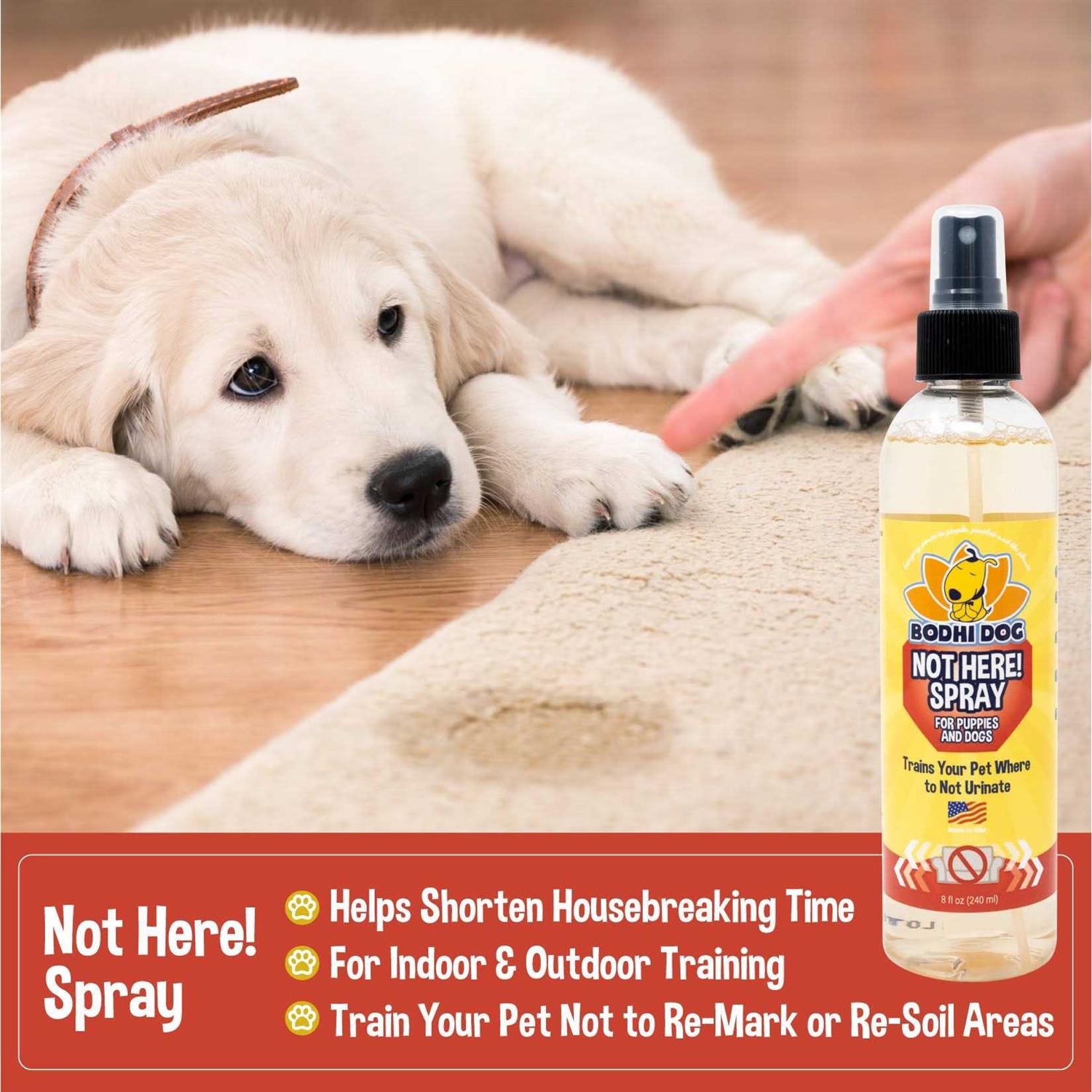 Bodhi Dog Not Here! Spray Trains Your Pet Where Not to Urinate - Nail Gallerys