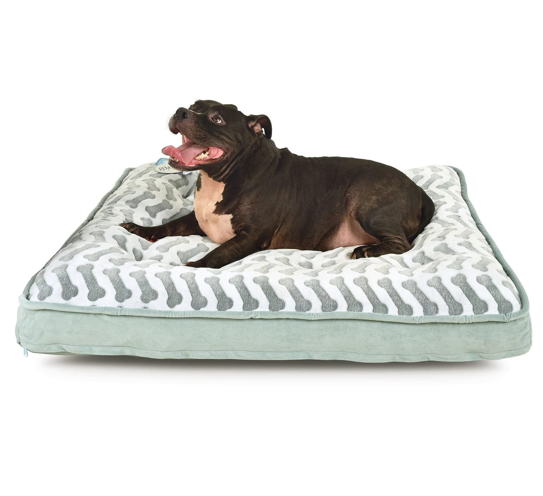 Queen-Size Waterproof Bella Orthopedic Mattress Bed - Nail Gallerys