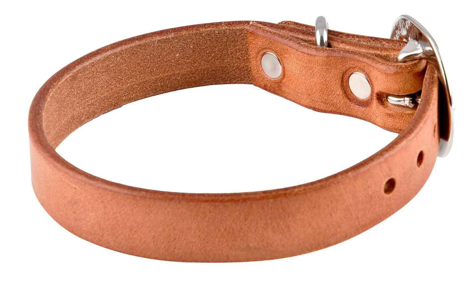 San Saba Dog Collar - Nail Gallerys