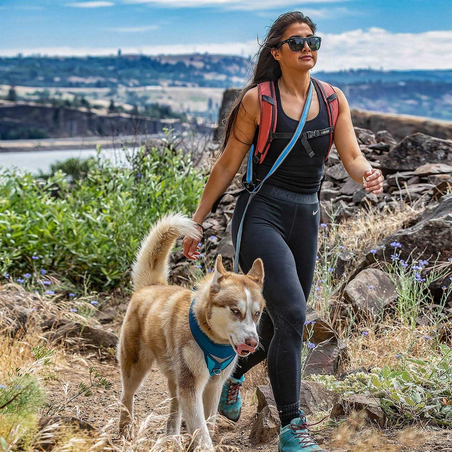 Kurgo Quantum Dog Leash - Nail Gallerys