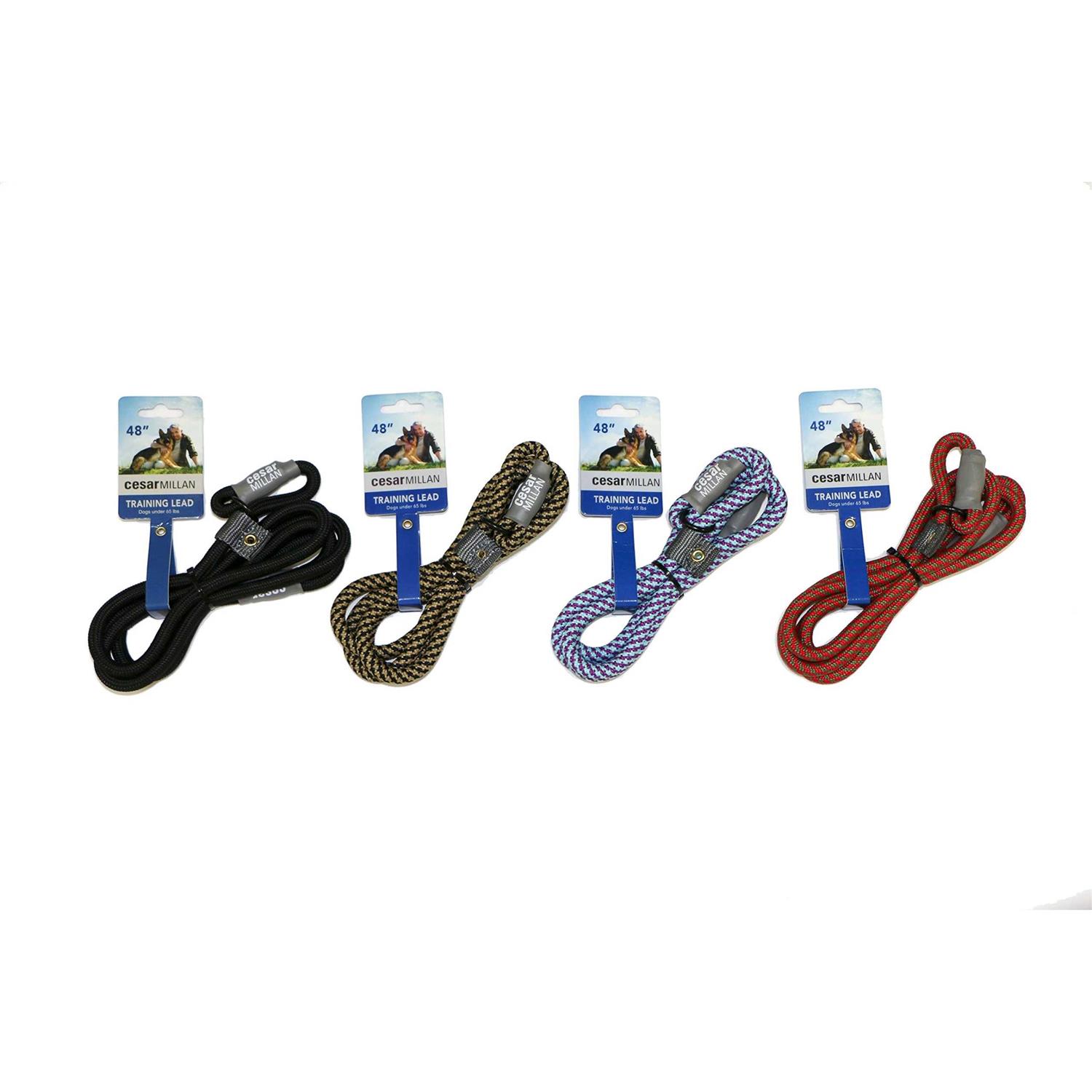 Cesar Millan Slip Lead Leash 2-in-1 Slip Collar Dog Training Lead & Collar - Nail Gallerys