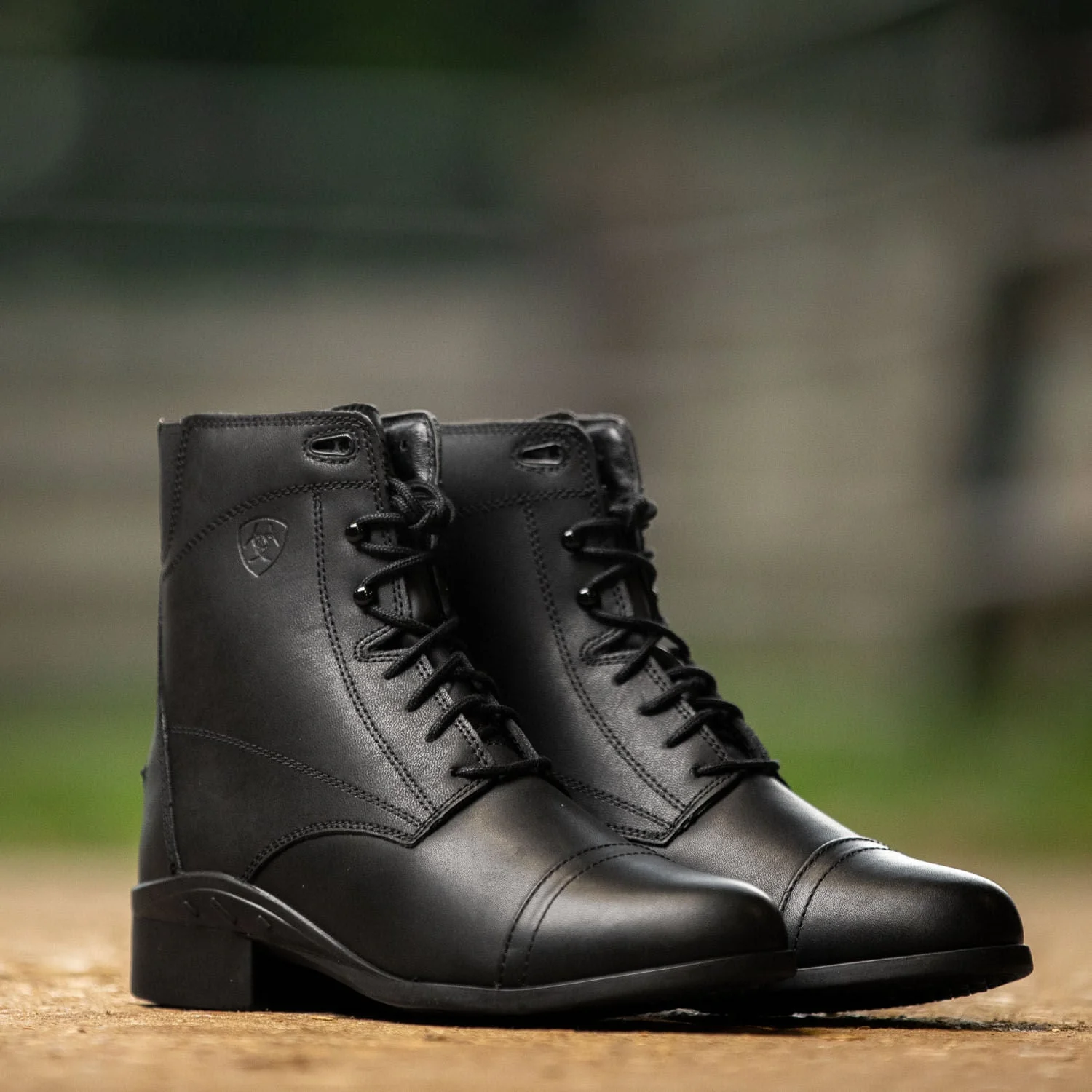 Ariat Women's Scout Paddock Boot, Black - Nail Gallerys