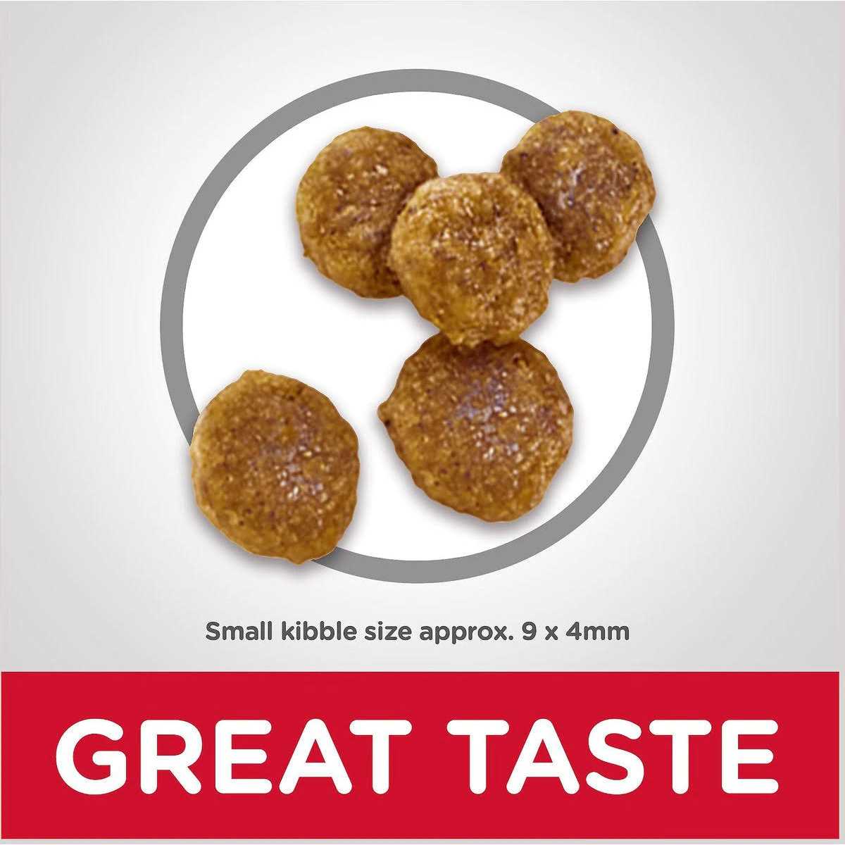 Science Diet Dog Food Recipe - Nail Gallerys