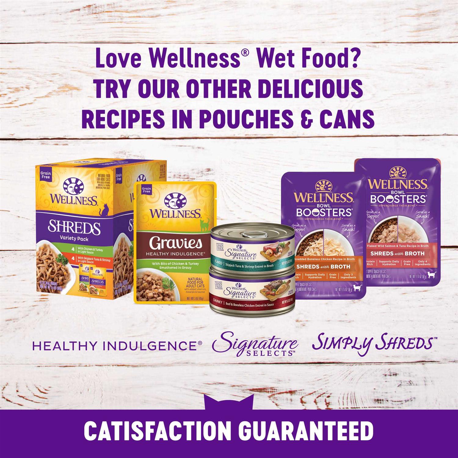 Wellness Complete Health Kitten Whitefish & Tuna Wet Cat Food - Nail Gallerys
