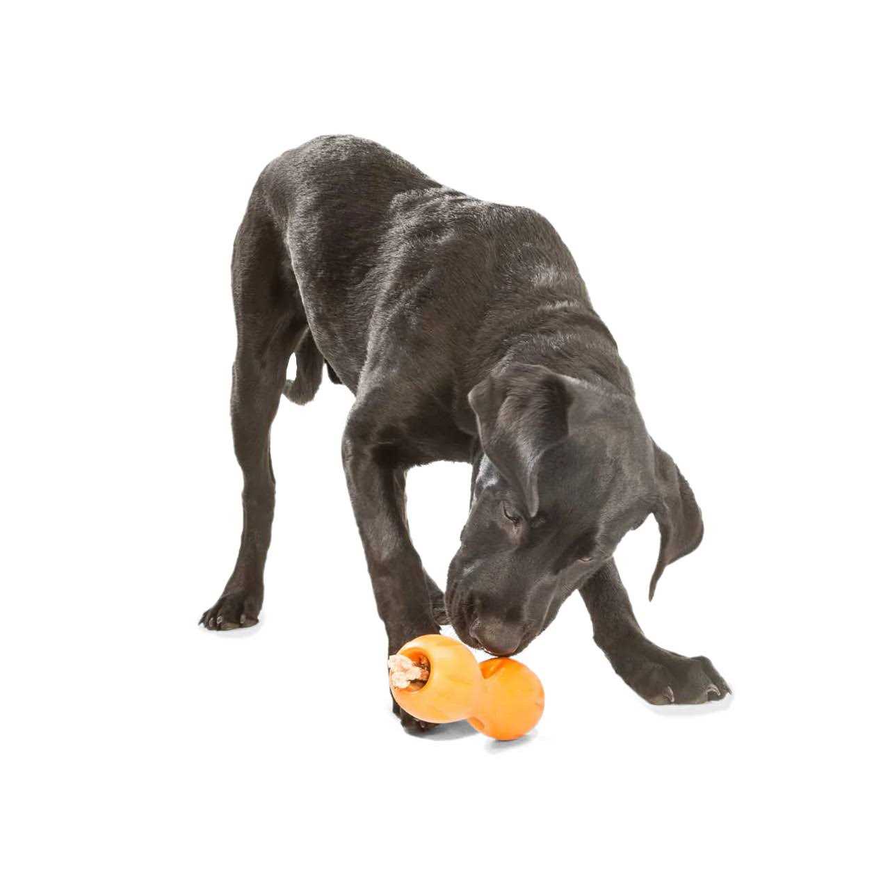 West Paw Qwizl Dog Toy - Nail Gallerys