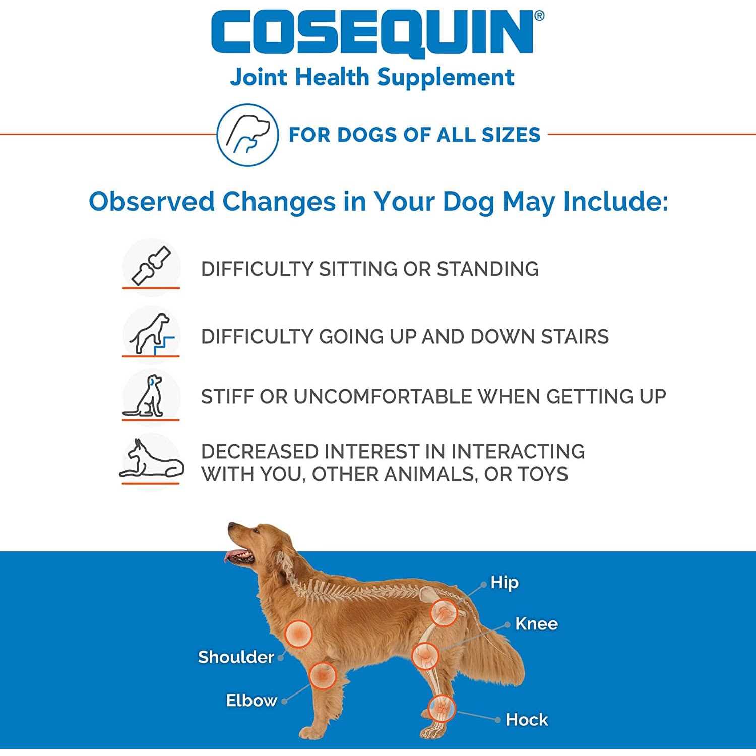 Cosequin DS Chewable Tablets for Dogs - Nail Gallerys