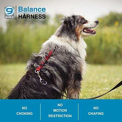 Blue-9 Buckle-Neck Balance Harness Fully Customizable Fit No-Pull Harness Ideal for Dog Training and Obedience - Nail Gallerys