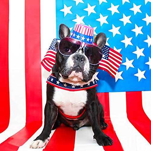 ComfortFlex Limited Slip Collar - Nail Gallerys