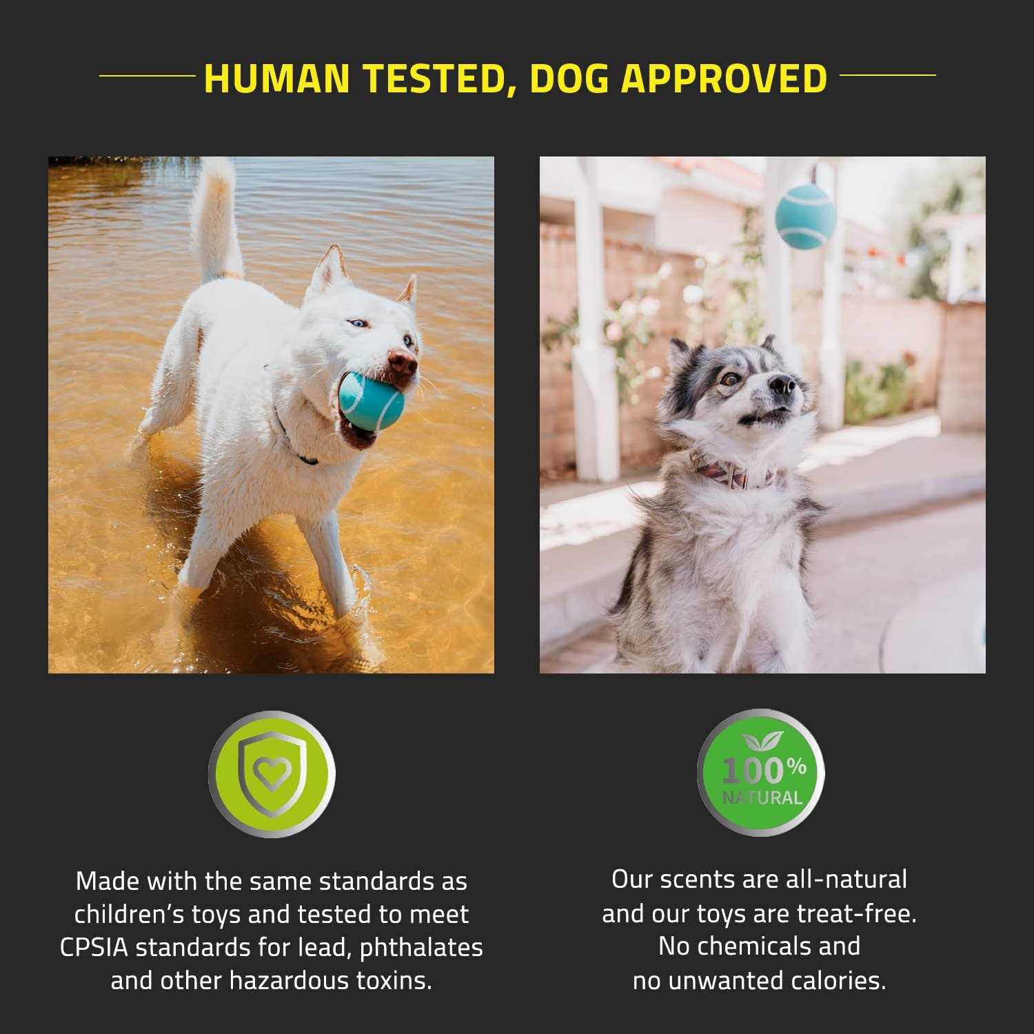 Playology Squeaky Chew Ball Dog Toy - Nail Gallerys