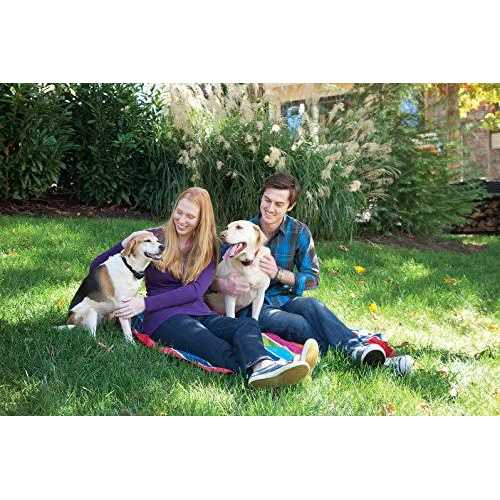 PetSafe Stubborn Dog Stay & Play Wireless Fence Receiver Collar - Nail Gallerys