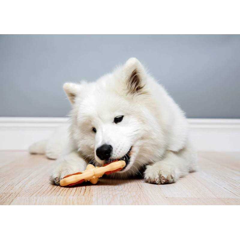 Hartz Chew n Clean Tri-Point Chew Toy - Nail Gallerys