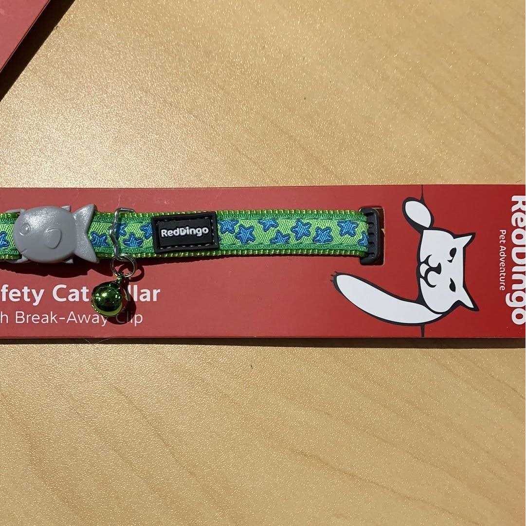 Red Dingo Dog Collar - Nail Gallerys