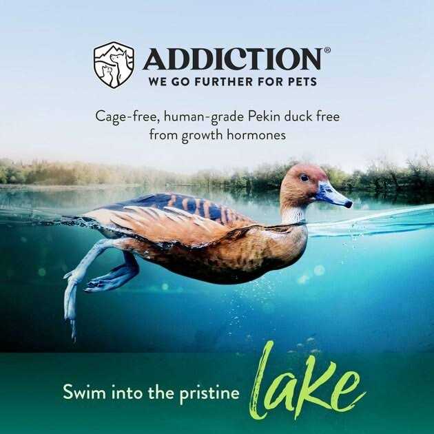 Addiction Grain-Free Duck Royale Dry Cat Food - Nail Gallerys