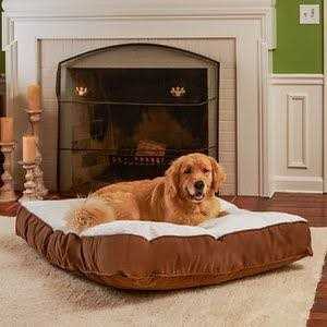 Happy Hounds Bailey Rectangle Pillow Dog Bed w/ Removable COVER - Nail Gallerys