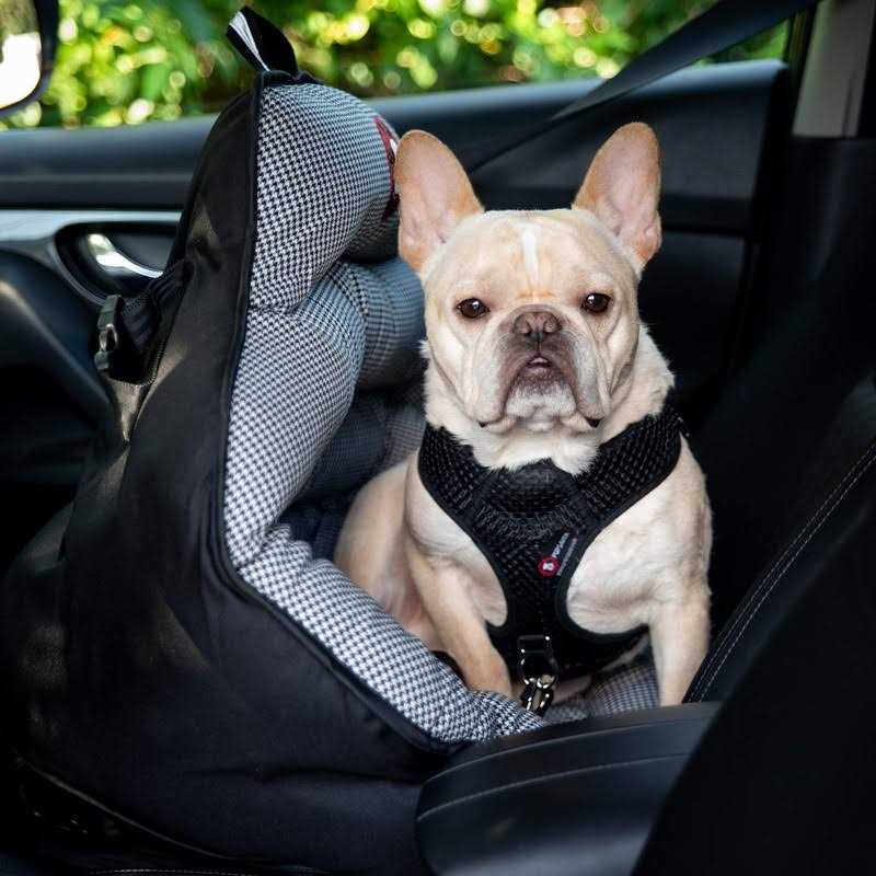 PupSaver Dog Car Seats for Small and Medium Dogs Travel Booster Pet Seat |Crash-Tested Dog Bed for Cars - Nail Gallerys