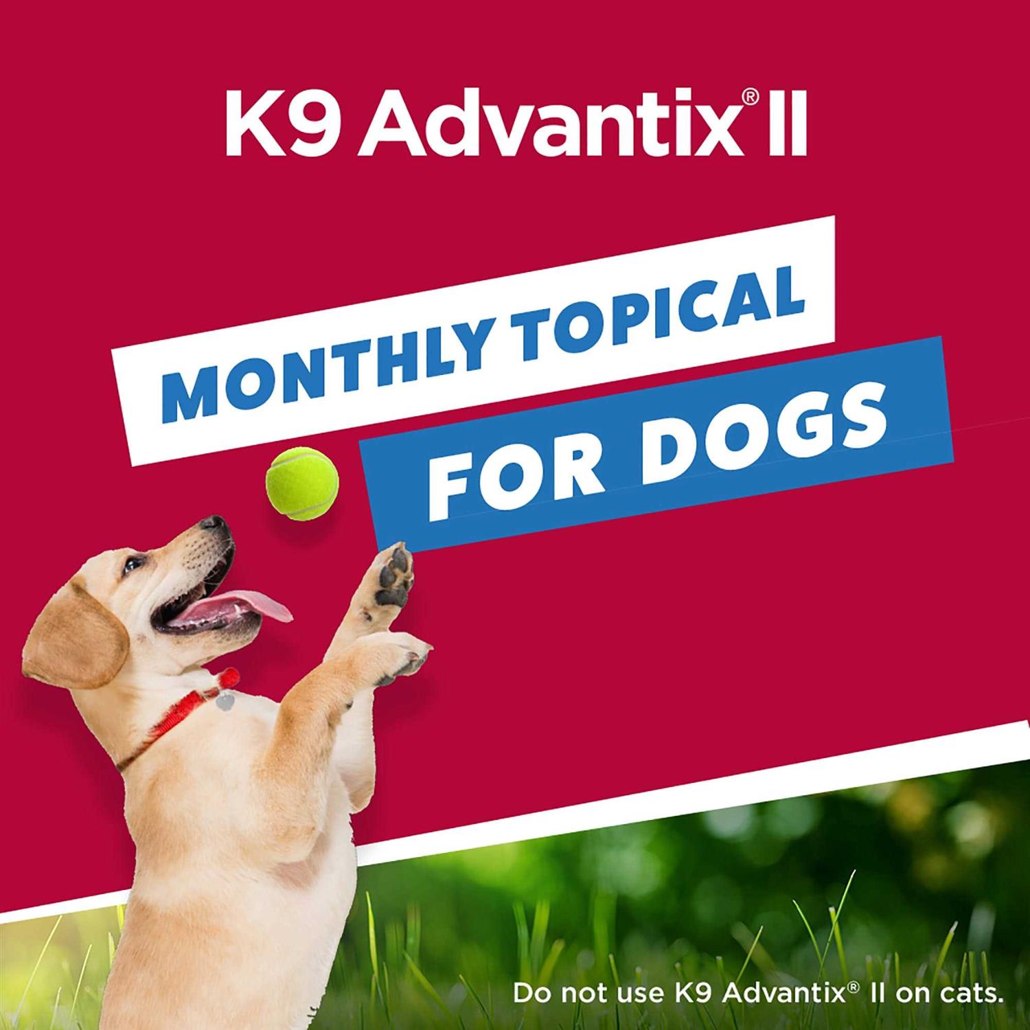 Bayer K9 Advantix II for Extra Large Dogs - Nail Gallerys
