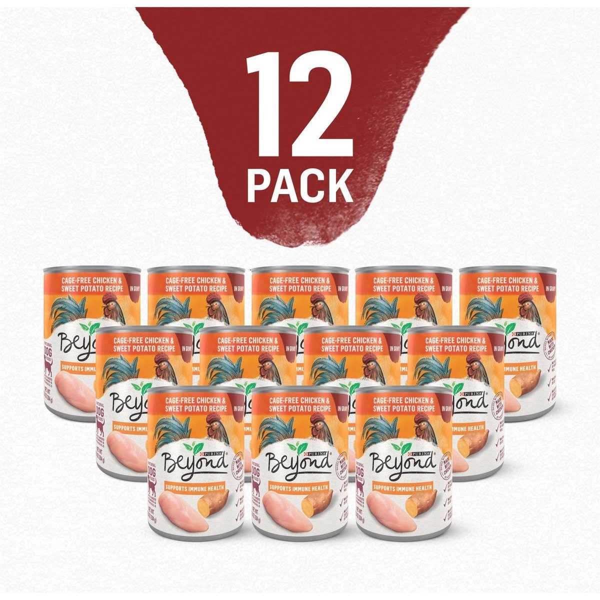 Purina Beyond Chicken and Sweet Potato in Gravy Grain Free Wet Dog Food - Nail Gallerys