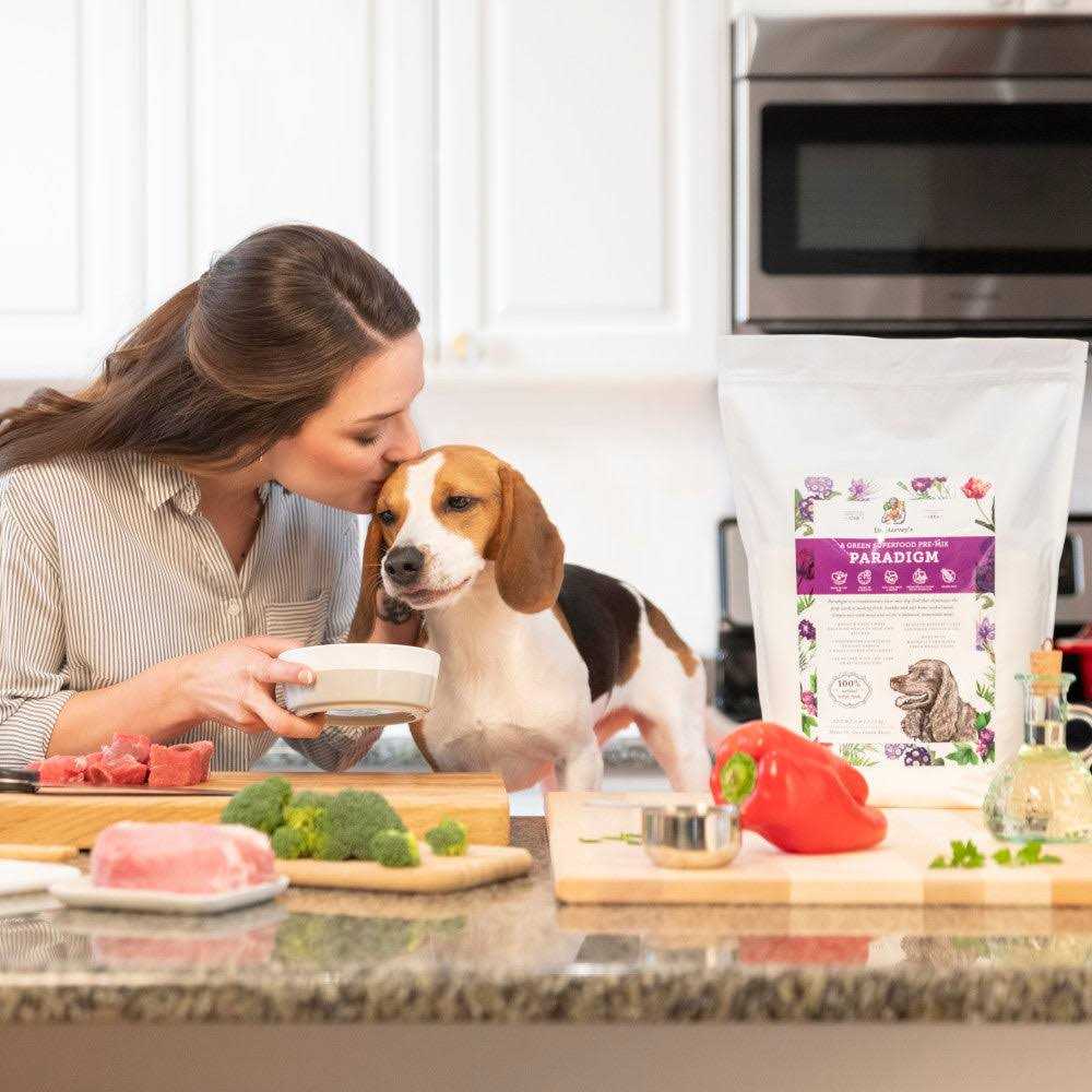 Dr. Harvey’s Paradigm Superfood Pre-Mix Dog Food - Nail Gallerys