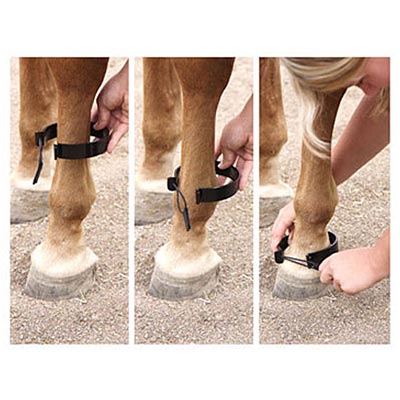 Paw-B-Gone Horse Ankle Bands, Pair - Nail Gallerys