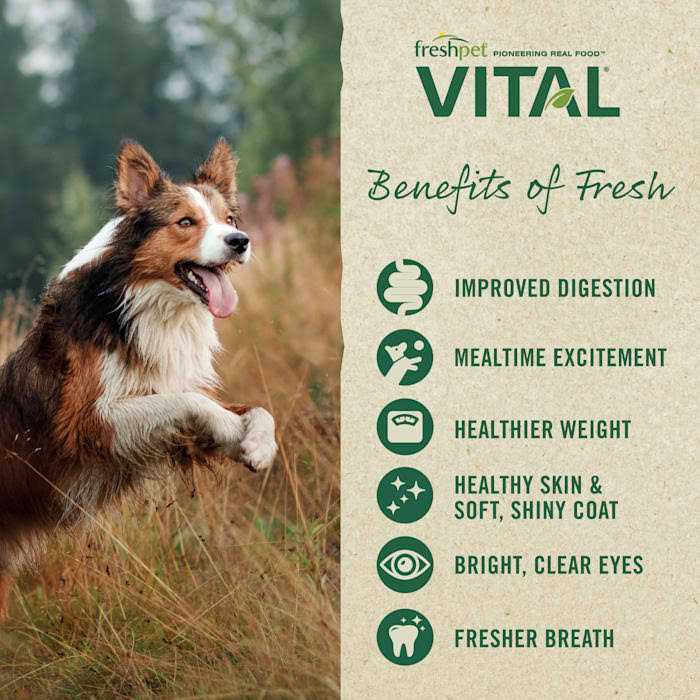 Freshpet Vital Fresh Cuts Dog Food Chicken - Nail Gallerys