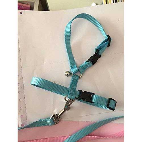 hokmly Adjustable Small Pet Hedgehog Harness for Training Playing Traction Rope - Nail Gallerys
