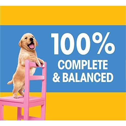 Pedigree Puppy Growth & Protection Chicken & Vegetable Dry Dog Food - Nail Gallerys