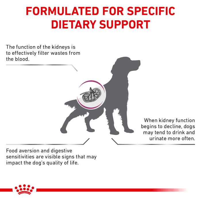 Royal Canin Veterinary Diet Renal Support Dry Dog Food - Nail Gallerys