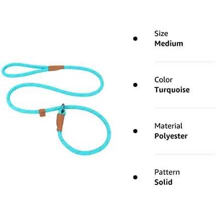 Slip Lead Dog Leash Reflective Mountain Climbing Rope Leash - Nail Gallerys