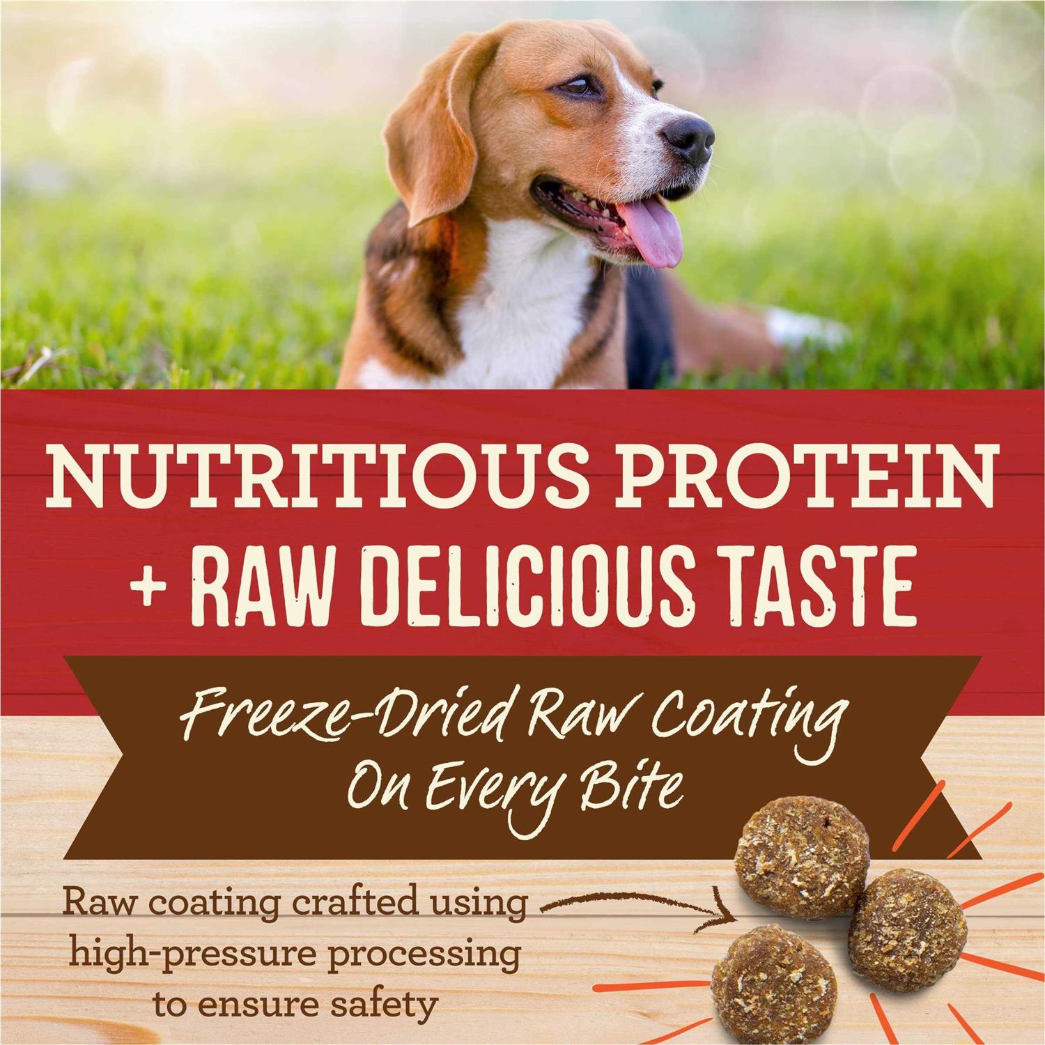 Merrick Healthy Grains Freeze Dried Raw Coated Kibble Dry Dog Food Real and Brown Rice Recipe - Nail Gallerys