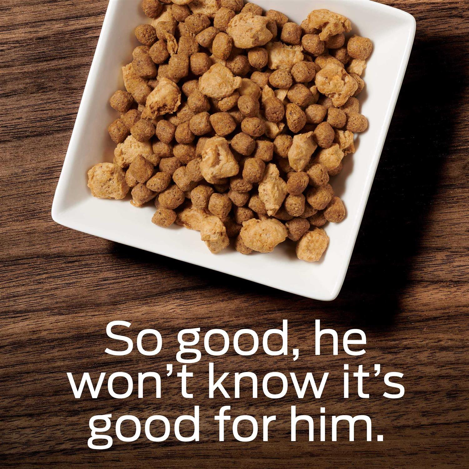 Purina Pro Plan Veterinary Diets OM Select Blend Overweight Management Dry Dog Food - Nail Gallerys