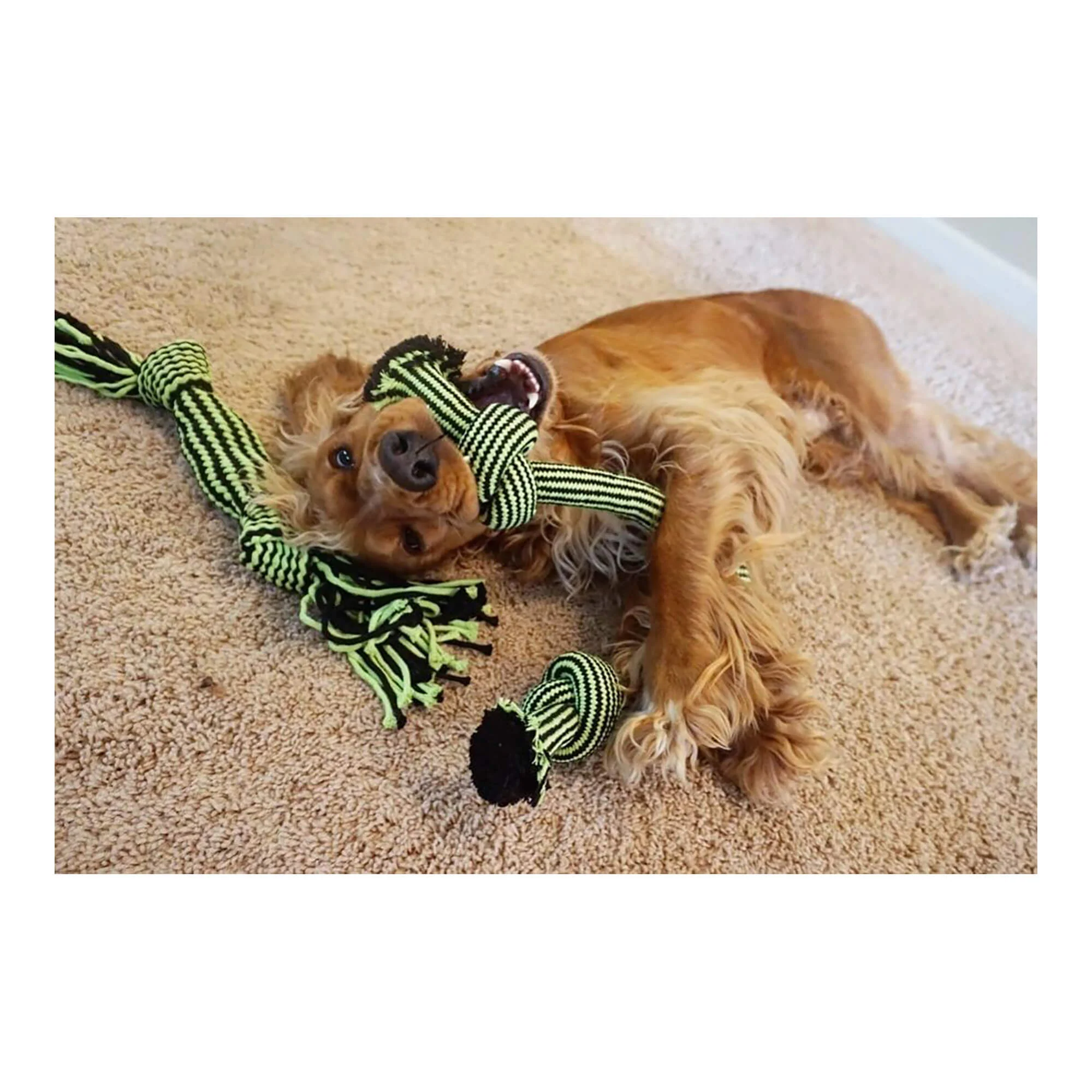 Knot-n-Chew, Small/Medium - Nail Gallerys