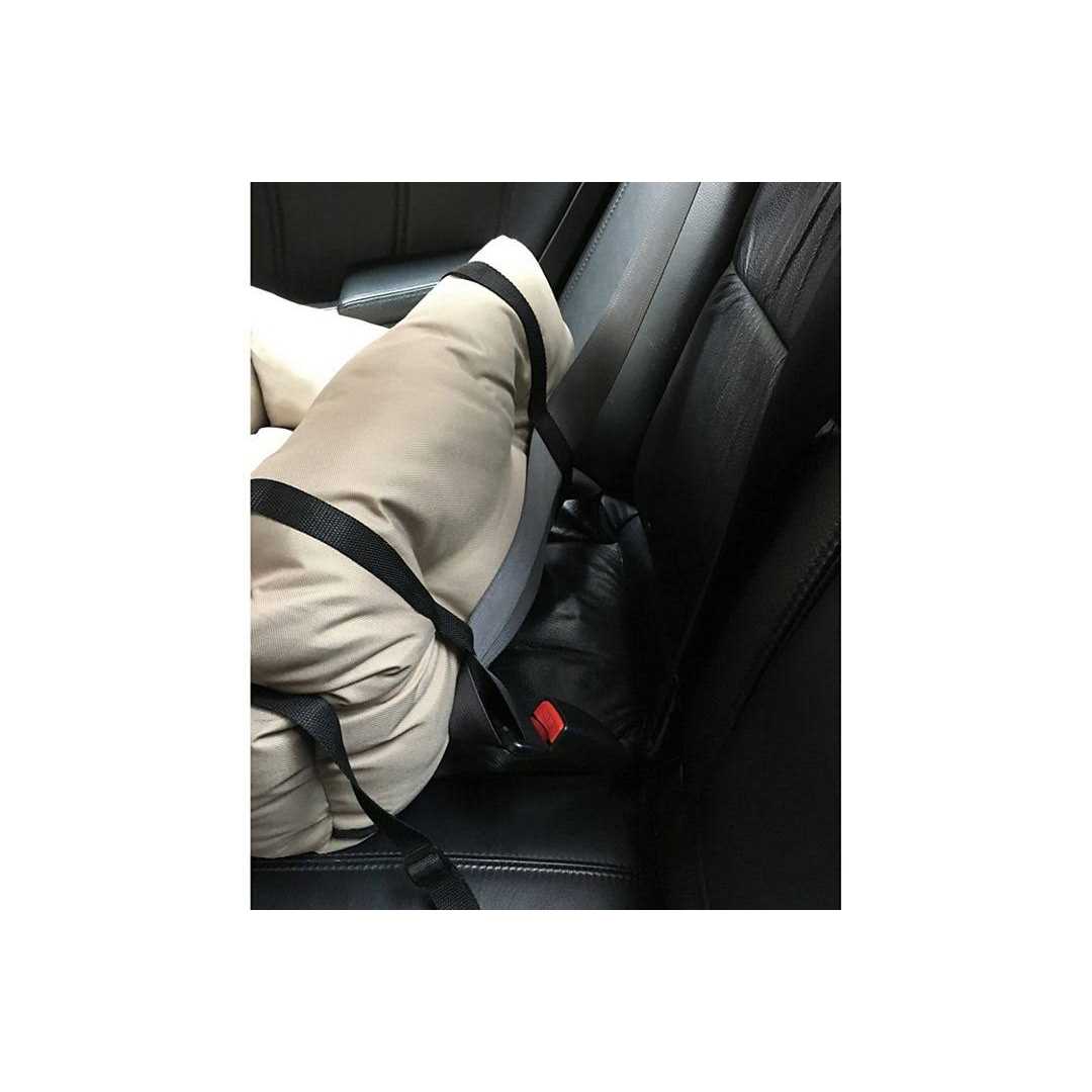 Precious Tails Travel Pet Bed - Nail Gallerys