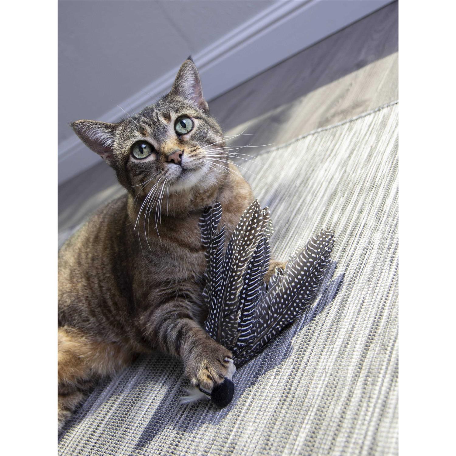 Petlinks HappyNip Zippy Zebra Catnip Cat Toy - Nail Gallerys