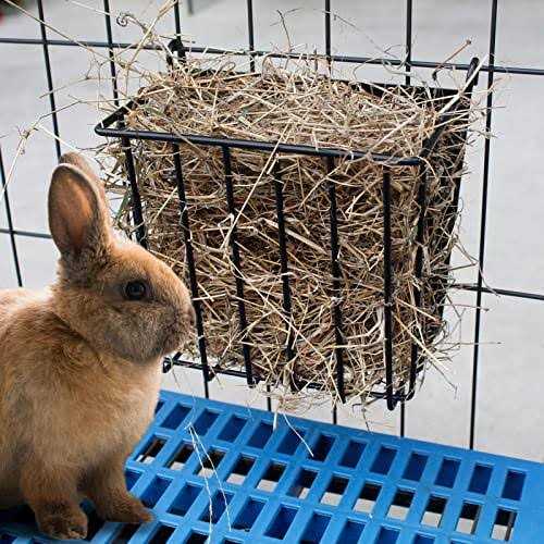CAIQINLI 2PCS Rabbit Hay Feeder with Heavy-Duty Metal Frame Hay Holder,for Bunny - Nail Gallerys