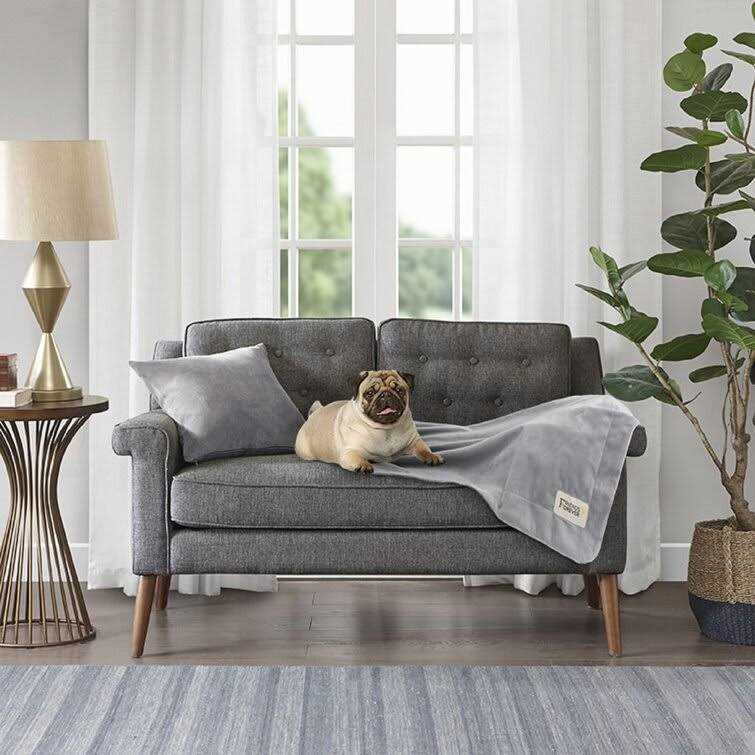 Friends Forever Durable Dog Blanket for Couch Protection - Nail Gallerys