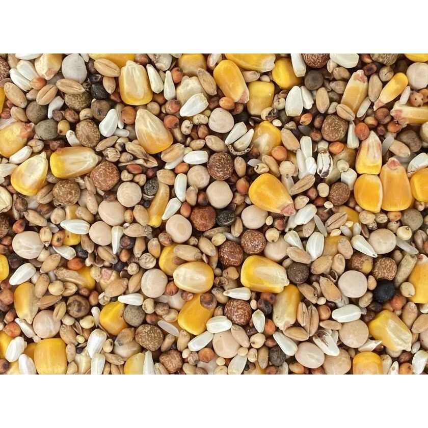 Versele-Laga Classic Racing Pigeon Foods Blends 50lbs - Nail Gallerys