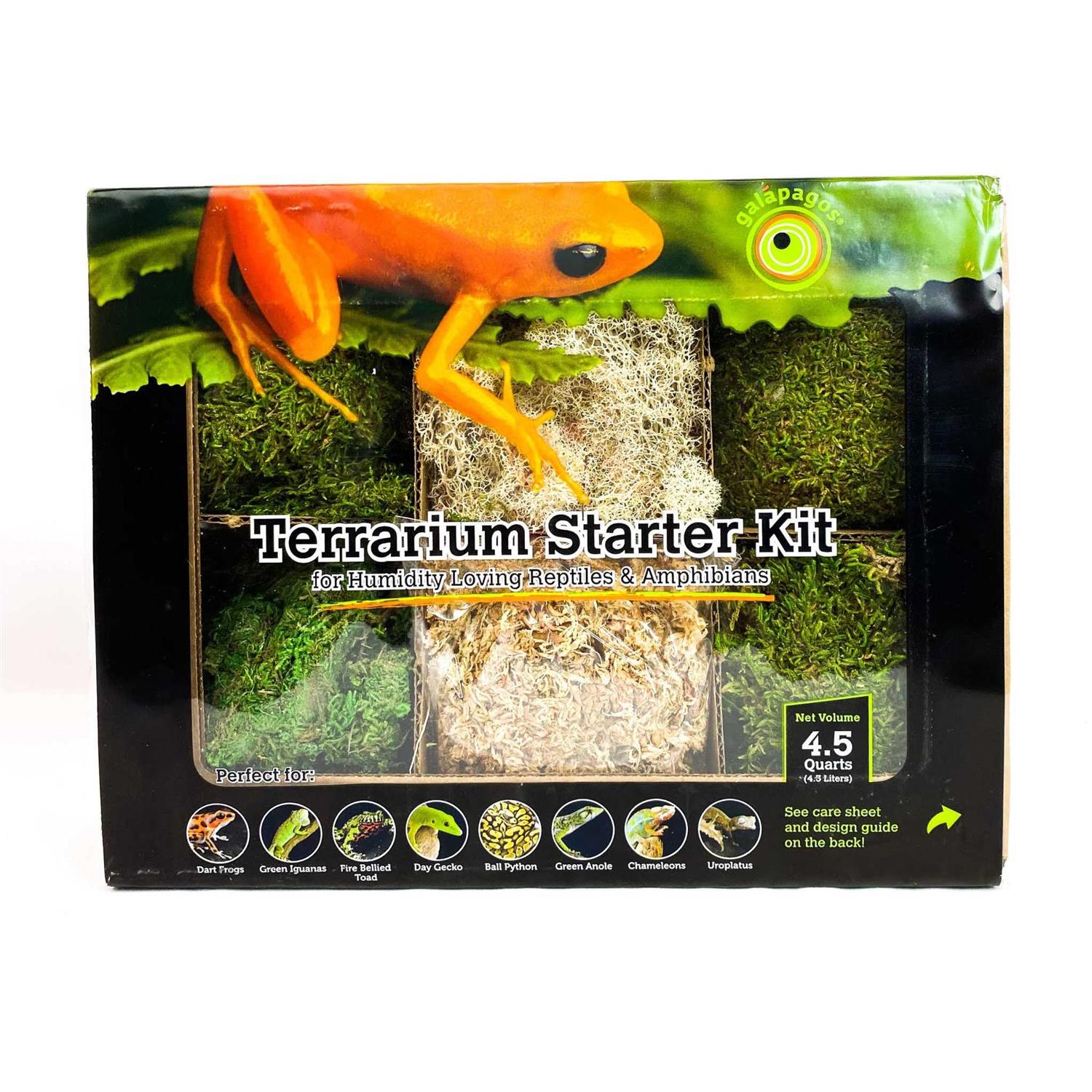 Galapagos Humid Environment Terrarium Starter Kit - Nail Gallerys