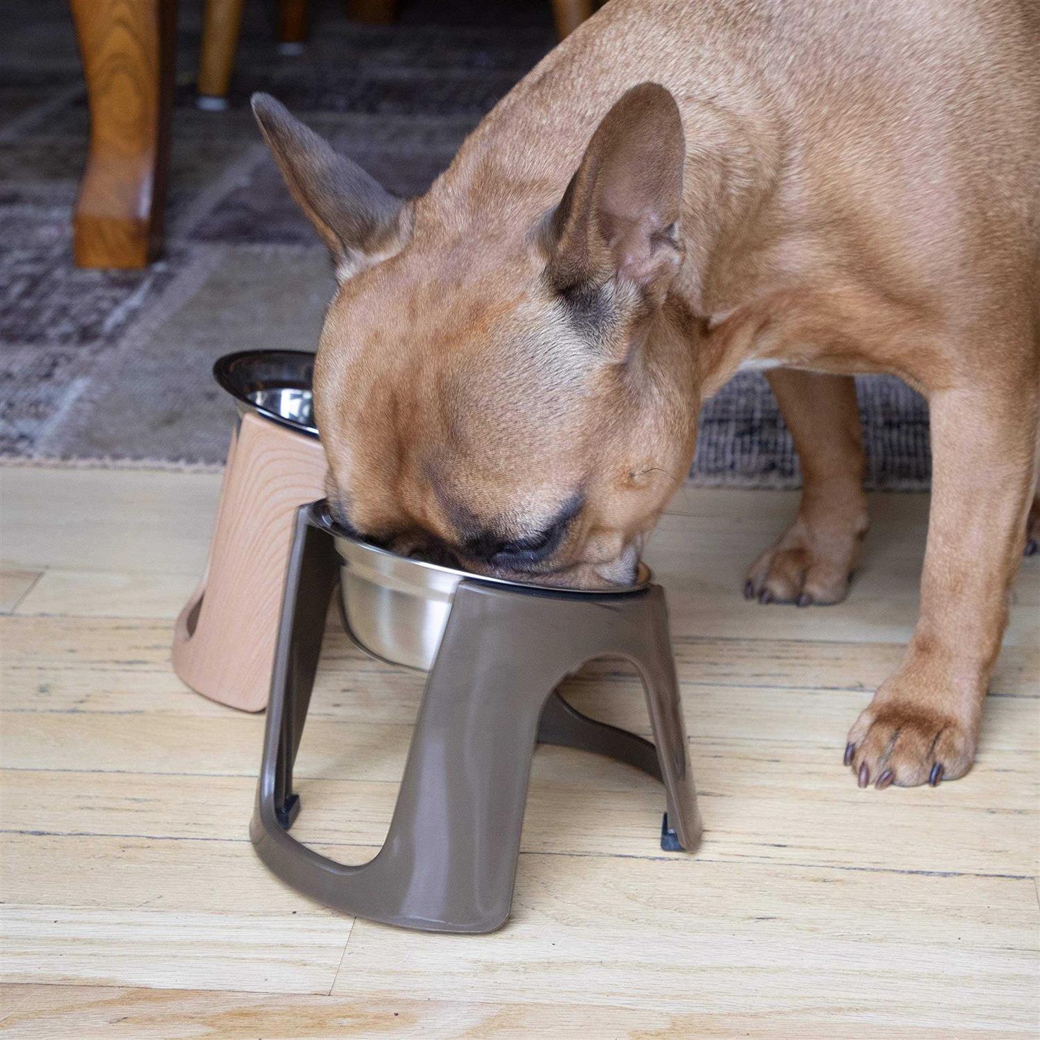 Sport Pet SportPet Food Bowls_Raised Stainless Steel Bowl_Gravity Feeder and Waterer - Nail Gallerys