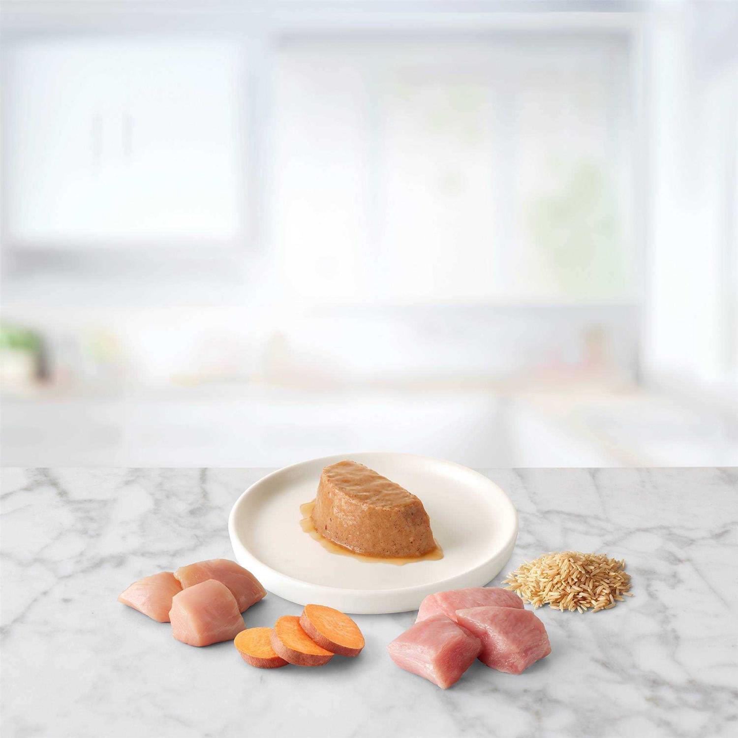 Blue Buffalo Tastefuls Spoonless Singles Chicken and Turkey Pate Wet Adult Cat Food Variety Pack - Nail Gallerys