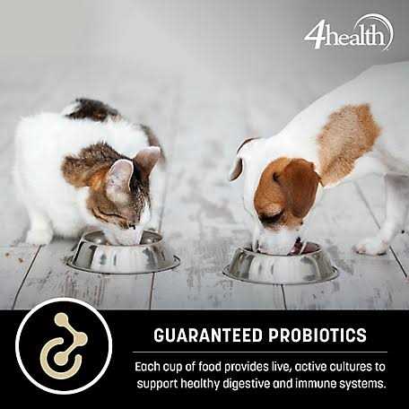 4health Special Care Adult Sensitive Skin Formula Dry Dog Food - Nail Gallerys