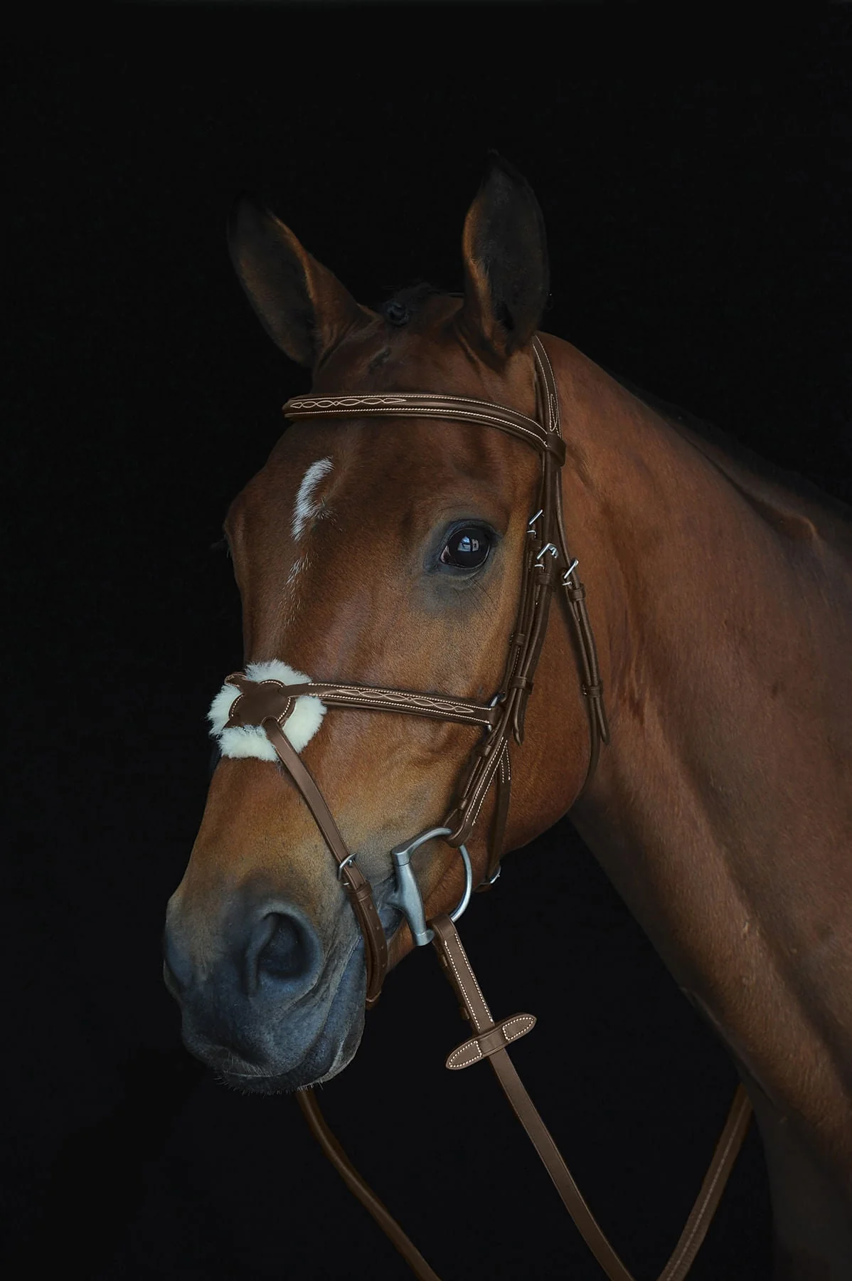 Collegiate Mono Crown Figure 8 Bridle, Brown - Nail Gallerys