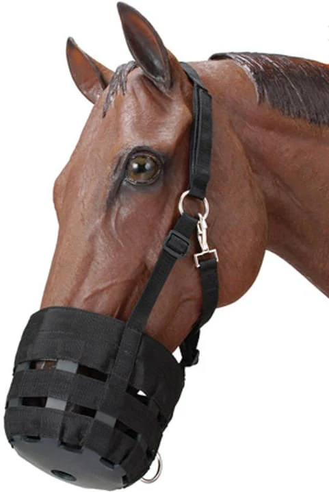 Nylon Horse Grazing Muzzle - Nail Gallerys