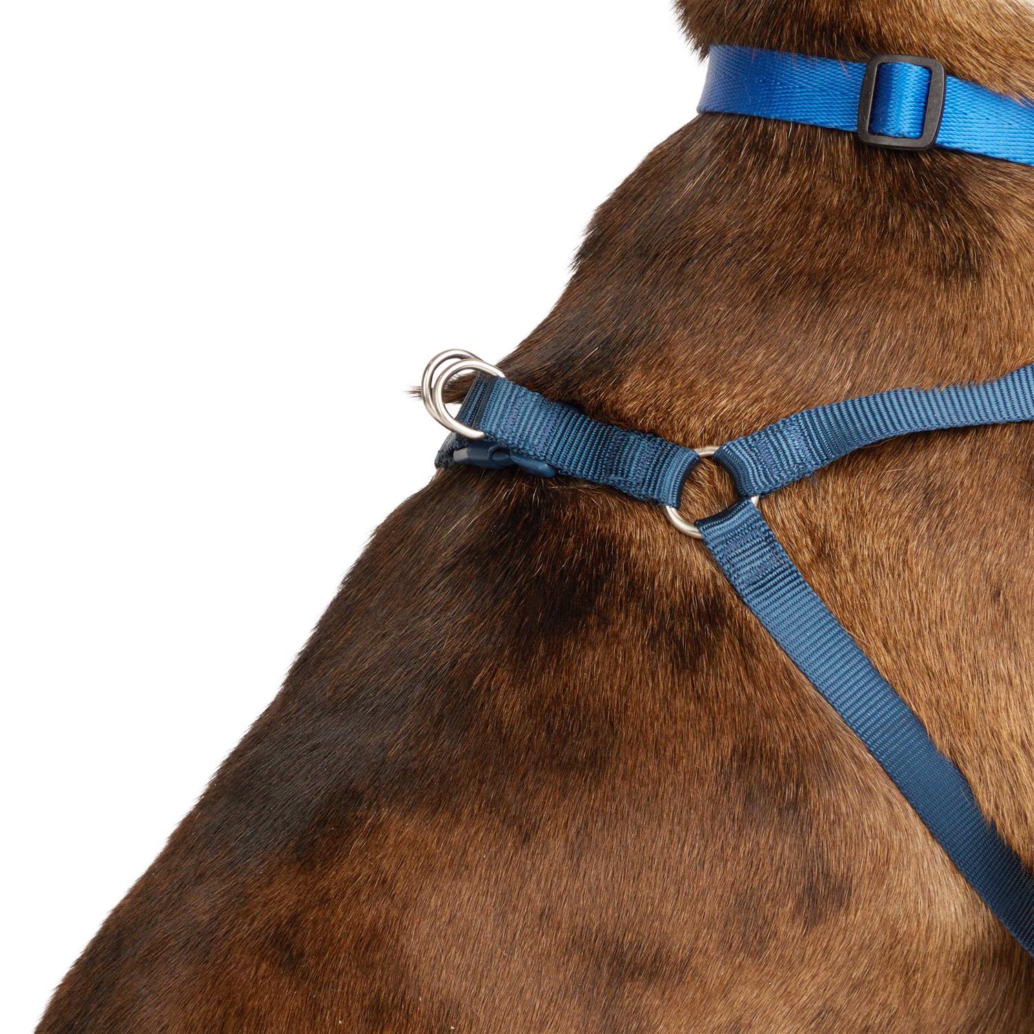 Youly the Champion Padded Step-in Dog Harness - Nail Gallerys