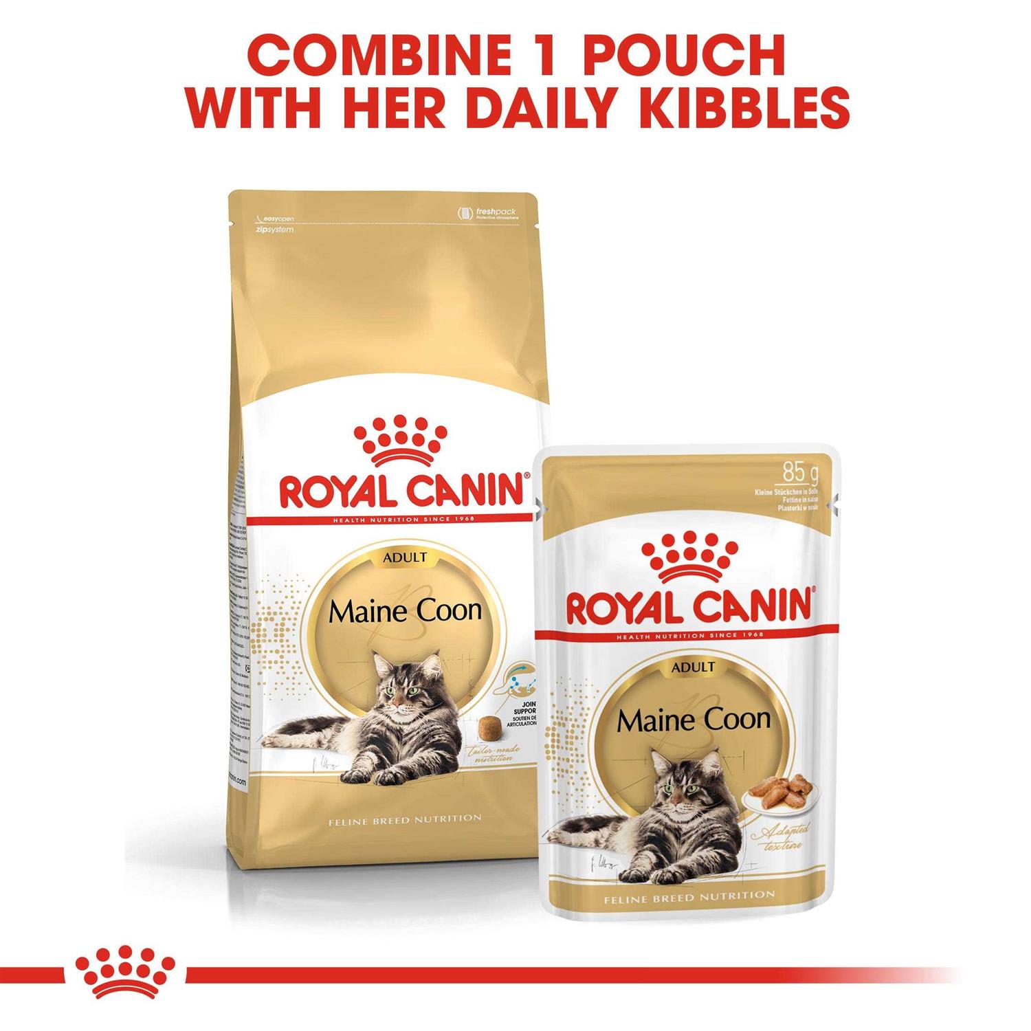 Royal Canin Feline Breed Nutrition Maine Coon Dry Cat Food - Nail Gallerys