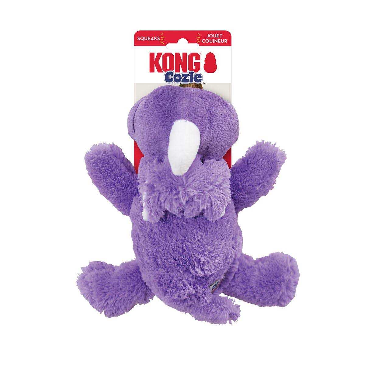 KONG Cozie Spunky Monkey Dog Toy - Nail Gallerys