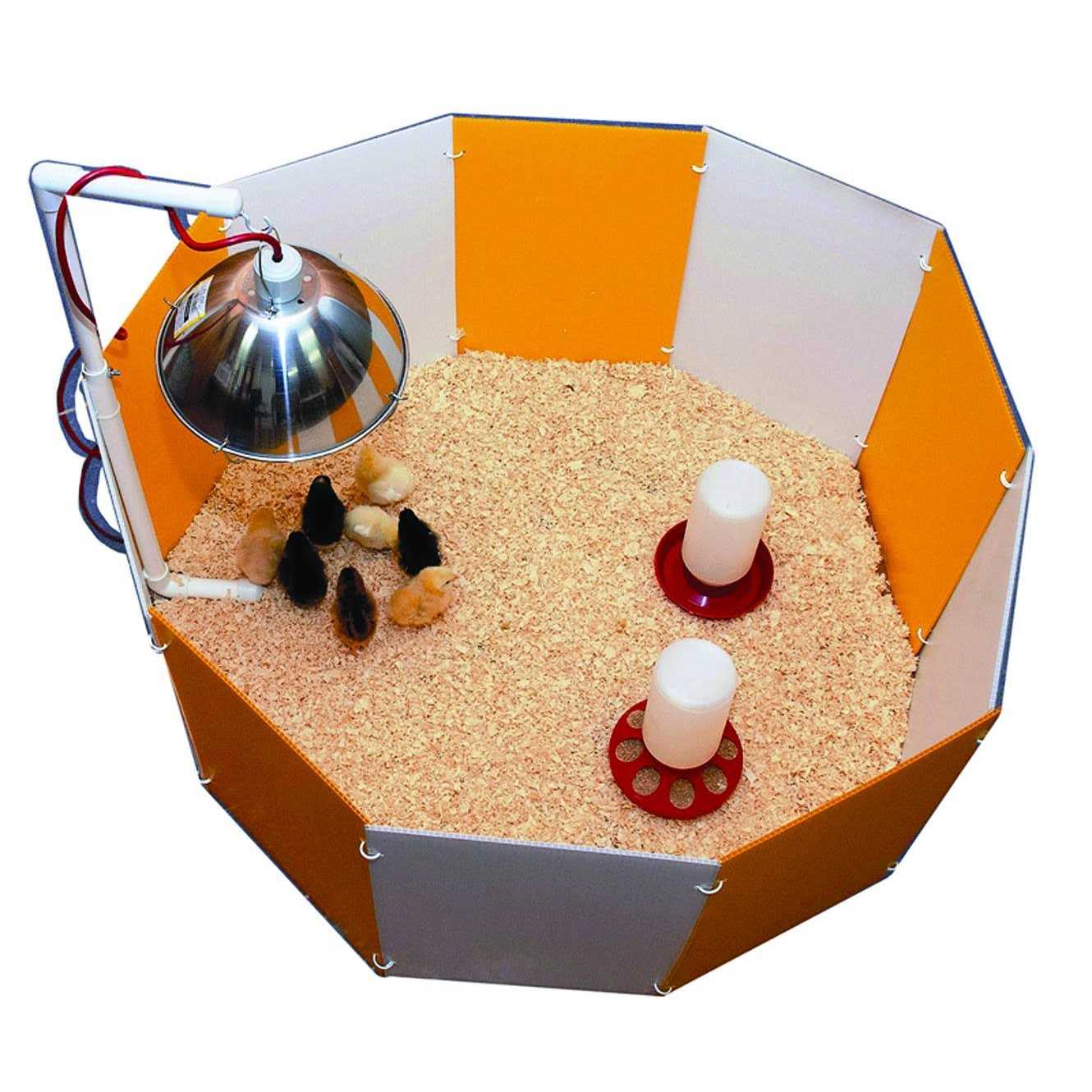 Farm Innovators Baby Chick Starter Home - Nail Gallerys